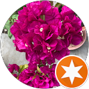 Charles Hattersley profile picture