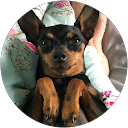 Victoria Walker profile picture